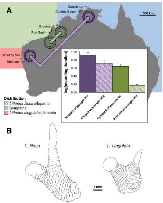 Figure 1. (A) Map of the sampling sites from the north and west coasts of Australia. Coloured regions describe the snail speciesdistribution areas