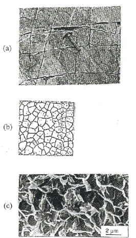 Fig. 1. Examples of real S-objects and corresponding V-objects of essentially different physical nature, scale, and dynamic properties, butmeeting the similar ISA geometrical conditions (see the Section: The concept of S- and V-objects)