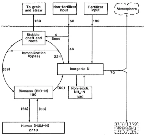 Figure 2. Nitrogen cycle under continuous winter wheat grown in the Broadbalk experiment, Rothamsted and receiving 192 kg N ha -1  each year since 1968