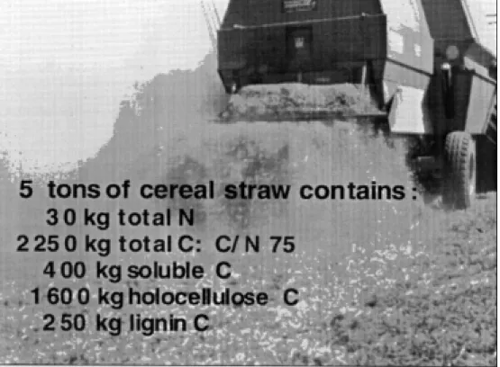 Figure 1. The carbon and nitrogen within crop residues constitute an important resource for maintaining soil fertility