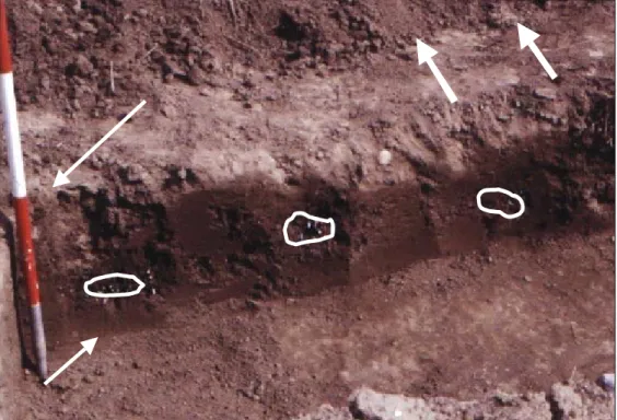 Figure 9. Soil profile showing the packed strings of straw and plastic tracers (circle about) in ploughed soil.