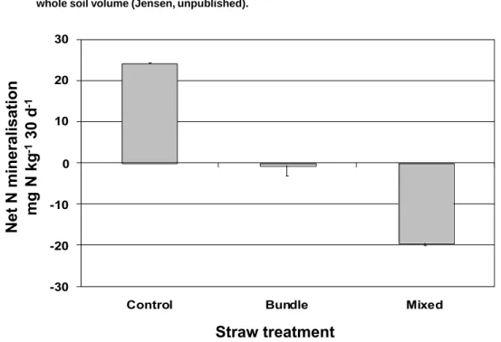 Figure 10. Net N mineralisation in soil as influenced by placement of straw in a bundle or mixed into the whole soil volume (Jensen, unpublished).