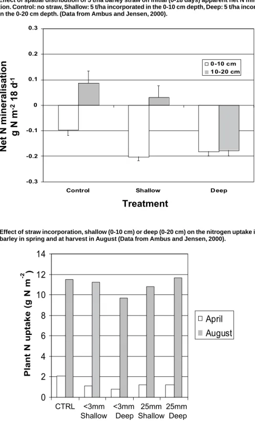 Figure 11. Effect of spatial distribution of 5 t/ha barley straw on initial (0-18 days) apparent net N mineralisa- mineralisa-tion