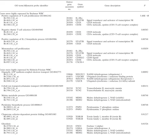 TABLE 4. Top-ranking biological process GO terms for genes DE between Brahman and Holstein-Friesian cattle