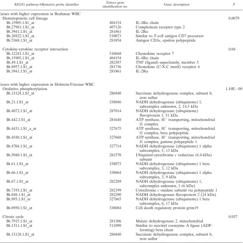 TABLE 5. KEGG pathways represented by DE genes