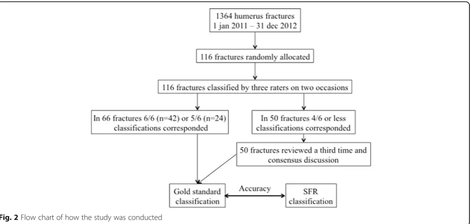Table 1 Question answered yes/no (1/0) defining the fracture groups of proximal humerus fractures