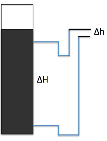 Figure 3.4 Schematic diagram of pressure drop through the column. 