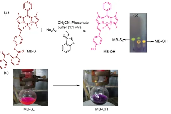 Fig. S1: (a) Reaction of MB-Sn with Na2S2. (b) Thin layer chromatography analysis under hand held 