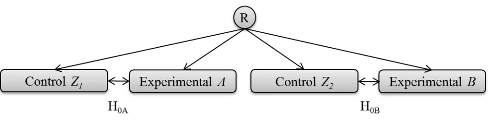 Figure 1a. Illustration of two separate hypotheses being tested within the same protocol