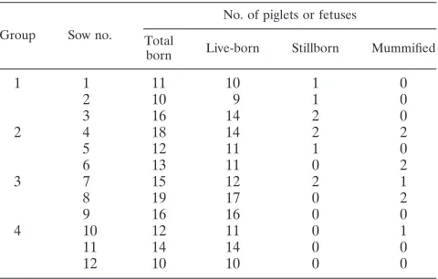 TABLE 1. Summary of expelled piglets and fetuses by litter andgroup at parturition for nonvaccinated and noninoculated sows(group 1), sows vaccinated at 28 days of gestation (groups 2and 3), and sows oronasally inoculated with PCV2b
