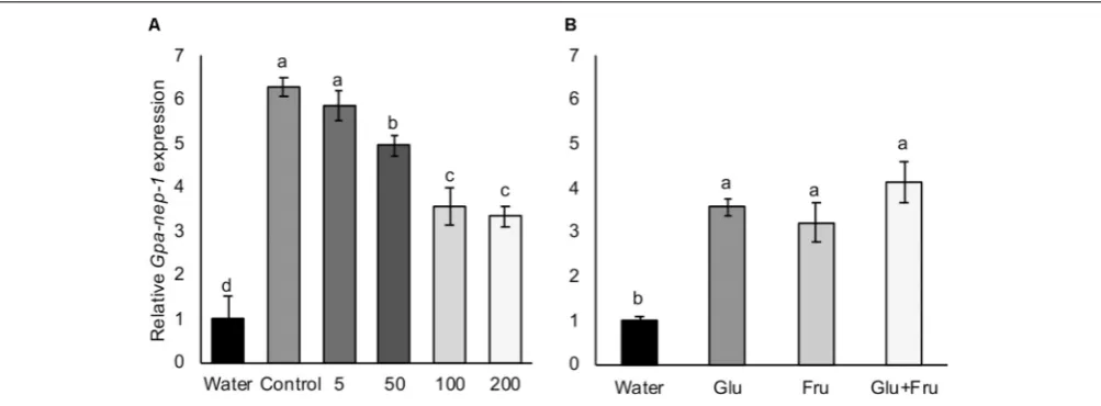 FIGURE 6 | Expression of a neprilysin gene (concentrations detected in non-infested potato root exudate