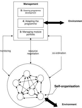 Figure 3: The VSM at the programme level 