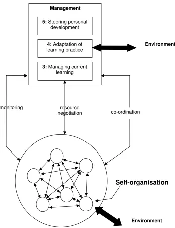 Figure 5: The Viable System Model, learner level 