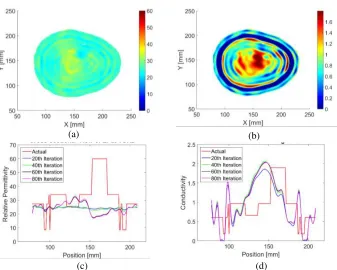 Figure 4. Reconstructed brain image with 15 mm tumour embedded at 2 GHz. (a) Reconstructedreconstructed relative permittivity