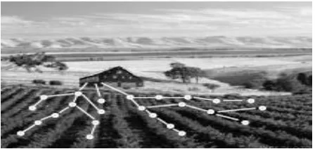 Figure 1: Wireless embedded network for precision agriculture. Sensors nodes detect light levels, temperature and soil moisture at hundreds of points across a field and communicate their data over a multi-hop network for analysis