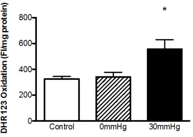 Figure 2.3 The effect of EHP on the level of oxidative stress within the 