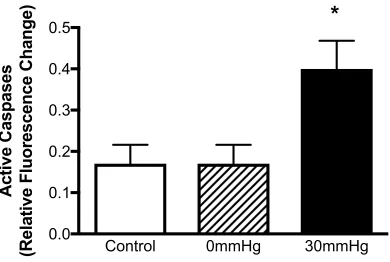 Figure 2.4 The effect of EHP on level of apoptosis within the endothelial cells in 