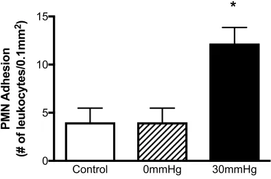 Figure 2.5. The effect of EHP on the endothelial cell activation in an in vitro 