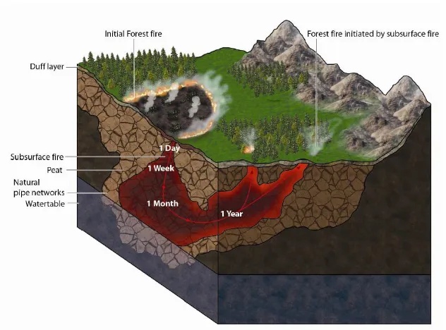 Figure 1.1: Image of a subsurface smouldering wildland fire. Fire initiated at the 