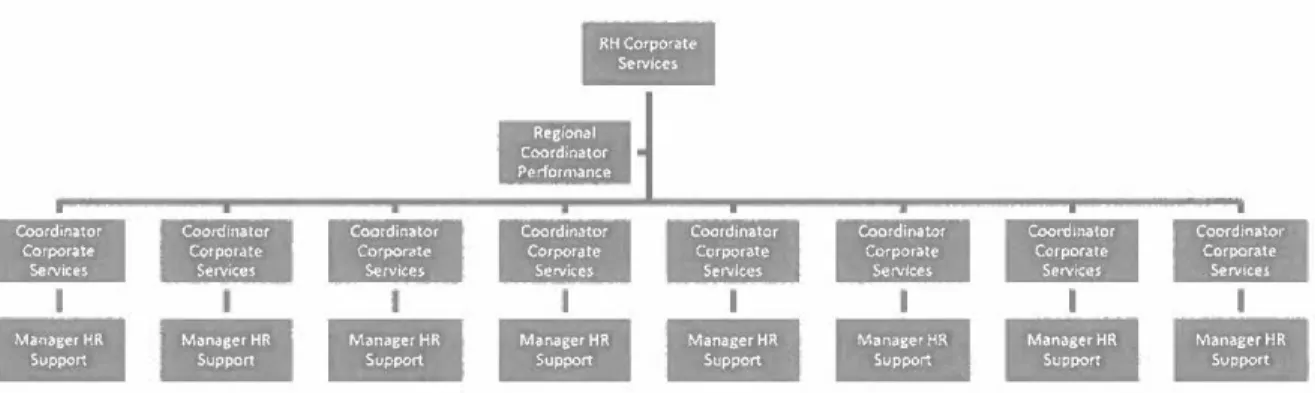 Figure 4.2: Structure of the performance management line management in the  region 