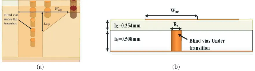 Figure 8. HM-SW-SIW microstrip tapered transition: (a) 3-D view, and (b) cross-section view.
