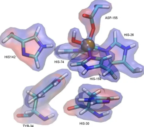 Figure 2. MnSOD-3[Q142H] second sphere residues, His142, Tyr34 and His30observed from Molecular Dynamics (MD) simulation