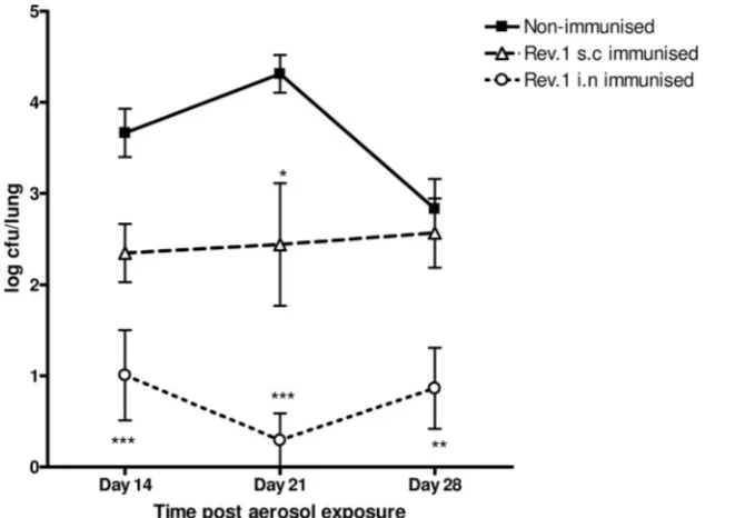 FIG. 3. Rev.1 vaccination by the i.n. route provides protection in the lungs of mice infected with B