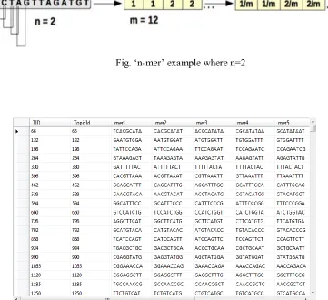 Fig. „n-mer‟ example where n=2 