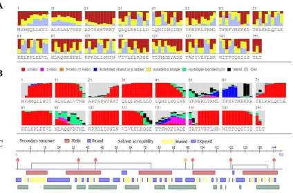 Figure 6. Secondary structure and solvent accessibility of native IL-2 protein: A) Solvent accessibility prediction of IL-2 protein by RaptorX B) 8-class secondary structure prediction by RaptorX; C) Secondary structure prediction by PredictProtein 