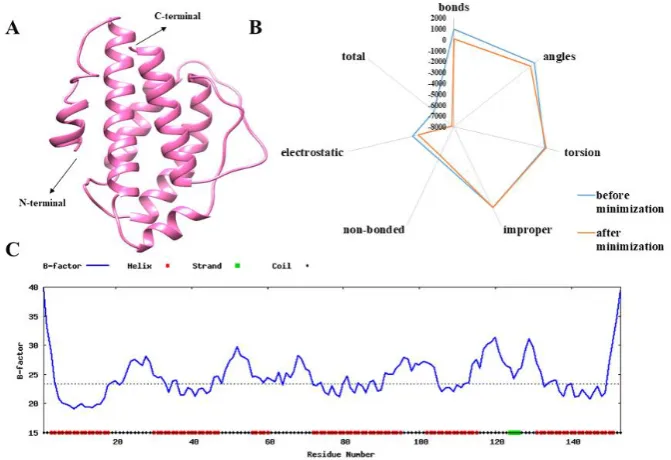 Figure 3. A) The 3D modelled structure of IL-2 protein predicted by I-TASSER. B) Energy parametric profile of IL-2 