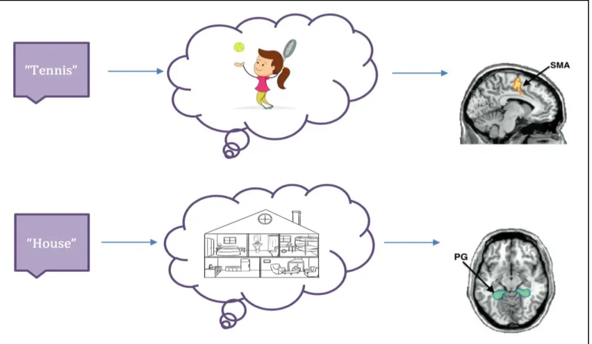 Figure 1. Imagery Paradigm Conceptualization 