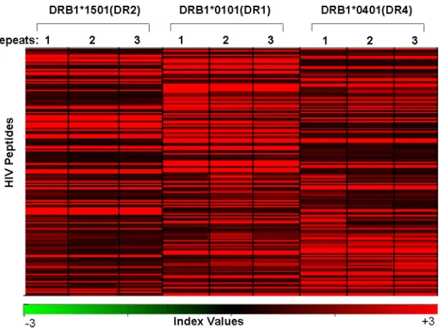 FIG. 4. MHC class II molecule-peptide binding pattern. A Pearson centered hierarchical clustering analysis of HIV peptides (nas overlapping peptides from HIV gp160 or Nef and 346 peptides listed as CD4program Acuity