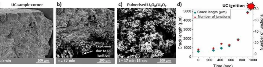 Figure 3: UC fragment oxidised at 723 K in 50 Pa Ob) 17 minutes after oxygen insertion showing an explosive expansion occurring during the SEI scan time frame (a few seconds), c) 15 seconds after SEI shown in b) revealing the sample morphological changes a