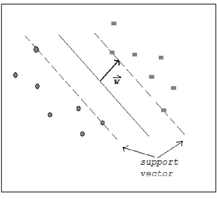 Fig. 2  SVM classification plane. 