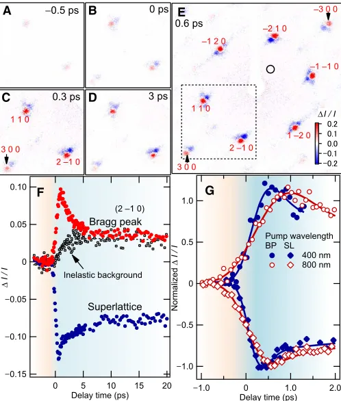 Fig. 2. Photoinduced time-dependent structural changes monitored by ultra-bright FED.excited by 50-fs, 800-nm optical pulses at a repetition rate of 1 kHz