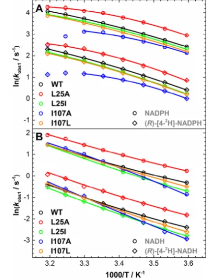 Table 2. Extracted Parameters from Kinetic and Thermodynamic Studiesa