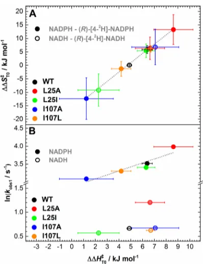 Figure 5. Relationship between the diﬀerences (coenzyme KIE) inapparent activation enthalpy (ΔΔHT0⧧) and entropy (A) andcorrelations between ΔΔHT0⧧ and observed rate constant (B) duringH-transfer for the PETNR variants.