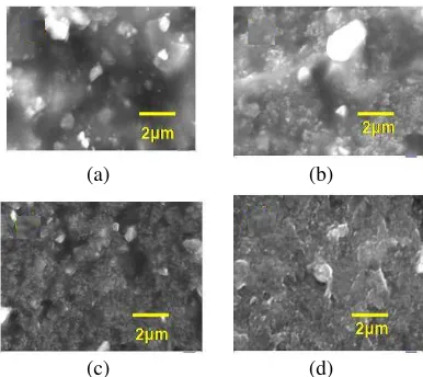 Figure 4. SEM Micrographs of CB-silicone rubber composites. (a) 3 wt%. (b) 5 wt%. (c) 10 wt%