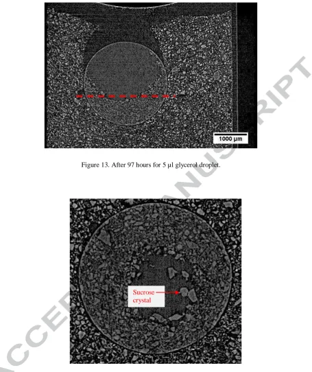 Figure 13. After 97 hours for 5 µl glycerol droplet.  