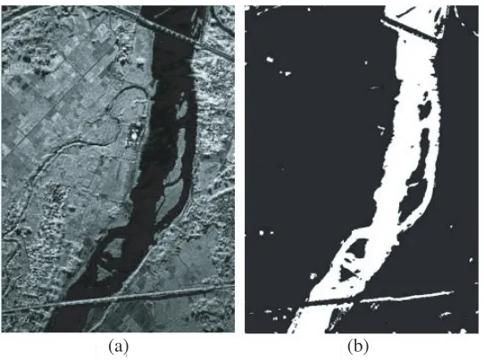 Figure 2. (a) Real SAR image with a size of 730 × 522 pixels. (b) Segmented image based on fusionframework.