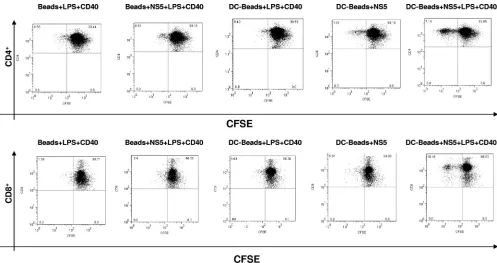FIG. 5. Splenocytes derived from mice vaccinated with DCs con-taining beads coated with NS5, LPS, and anti-CD40 exhibit elevated