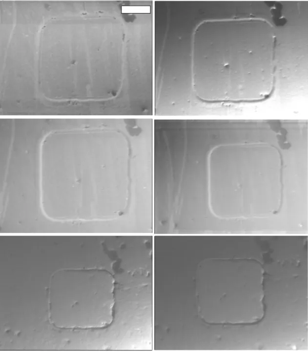 Figure   S1:  Decelerated   beam   images.  A   series   of   images   taken   of   one   of   the magnetic   tunnel   junctions,   consisting   of   MgO(001)//Cr   (80)/Pd   (5)/Co 2 Fe 0.4 Mn 0.6 Si (5)/MgO (2)/Co 0.5 Fe 0.5  (5)/IrMn 3  (10)/Ru (7)/Cr (