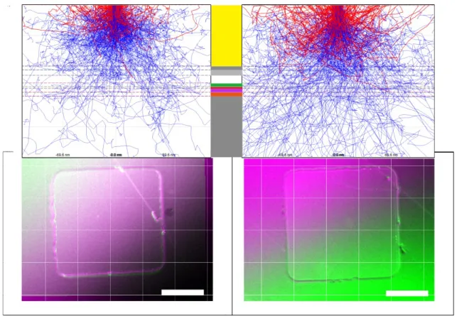 Figure 2 Simulations and SEM images of MTJs with decelerated electron beam. Interaction-volume simulations to estimate the penetration depth for 15 µm15 µm MTJs with 30nm CFMS as shown in Fig
