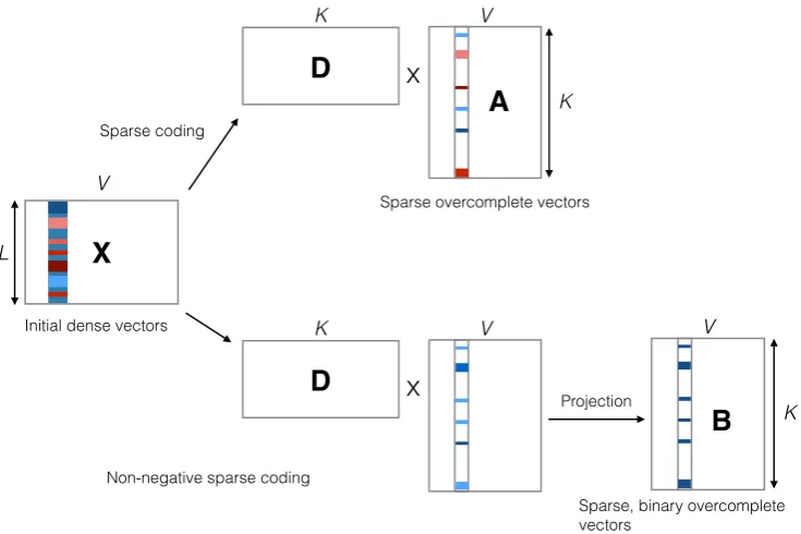 Figure 1: Methods for obtaining sparse overcomplete vectors (top, method A, § 2.1) and sparse, binaryovercomplete word vectors (bottom, method B, § 2.2 and § 2.4)