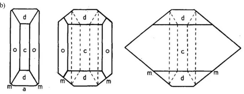 Figure 1-3 (a) Three basic forms of class mmm.(b) Three different habits of barite found in 
