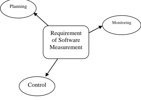 Figure 1 : Software Measurement Constraints  