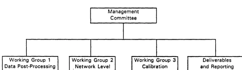 Figure 1: COST 336 Organization Structure 