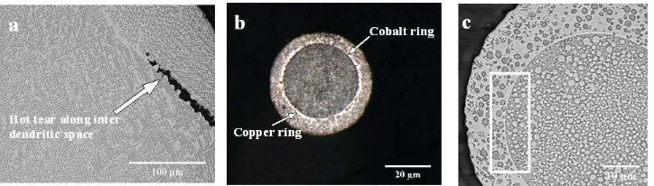 Figure 6: (a) Hot tears along the copper rich inter dendritic space of a NLPS droplet from the 850+ �m size range of the Cu – 50 at