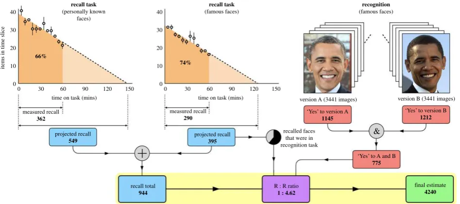 Figure 1. Combining different memory measures for personally known and famous faces. Recall estimates for each category are summed to produce a recall total(blue)