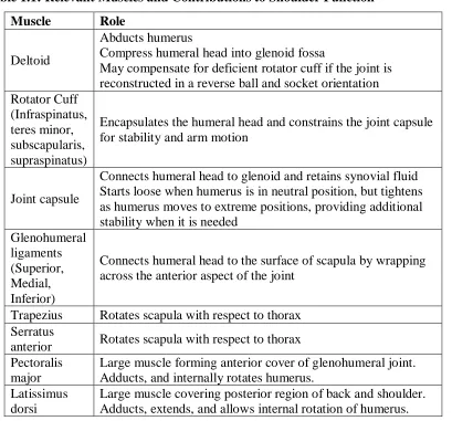 Table 1.1: Relevant Muscles and Contributions to Shoulder Function 